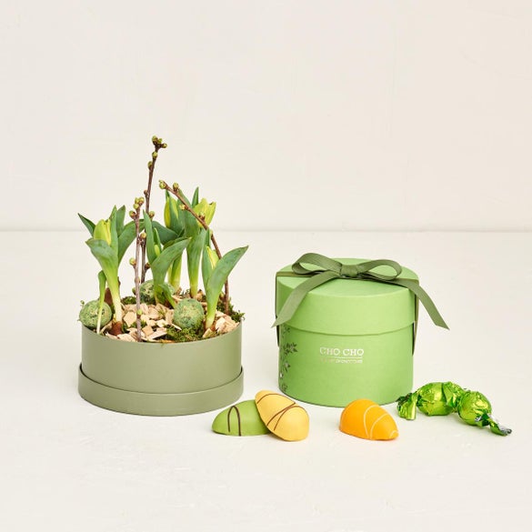 Hatteæske med babytulipaner med forårsæske